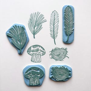 Puede incluir: Conjunto de ocho sellos de goma con diseños de temática natural. Los sellos están montados en bloques azules y presentan imágenes de un hongo, un nido y varias hojas y plumas.