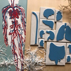 Arte dell'anatomia umana, francobolli intagliati a mano di anatomia umana, artigianato biologico per bambini, giocattoli montessori, risorse di anatomia umana, arte educativa
