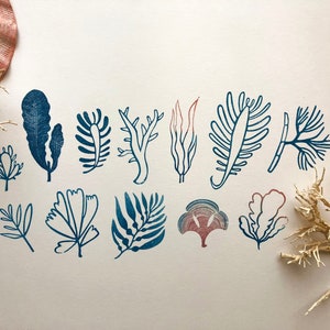 藻類の手彫りゴム印、植物アート、シーウッドスタンプ、海洋生物工芸品、スクラップブッキング、藻類プリント、植物プリント