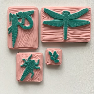 Cycle de vie d'un jeu de tampons libellule, fournitures montessori, cadeau pour professeur de biologie, idées de cours de biologie, art libellule, tampon libellule