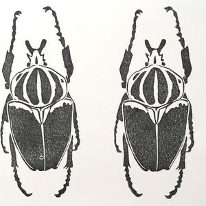 Goliathus beetle stamp, beetle art, diy poster, kids crafts supplies, gift for bug lover, insect stamp, beetle accessories