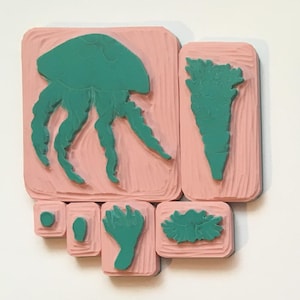 De levenscyclus van de kwal met de hand gesneden rubberen stempel Montessori geïnspireerd, wilde stempel, natuureducatief,