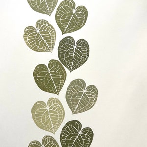 Sztuka Anthurium clarinervium, wydruk Anthurium, stemple gumowe z roślin, szalona dama roślin, stempel z liści, stempel botaniczny, aksamitna tektura Anthurium