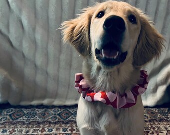 Coletero para perro // Conjunto de coletero a juego para cachorro y yo // Regalo para ella // Cesta de regalo de San Valentín // Regalo para mamá de perro // Regalo para dueño de mascota