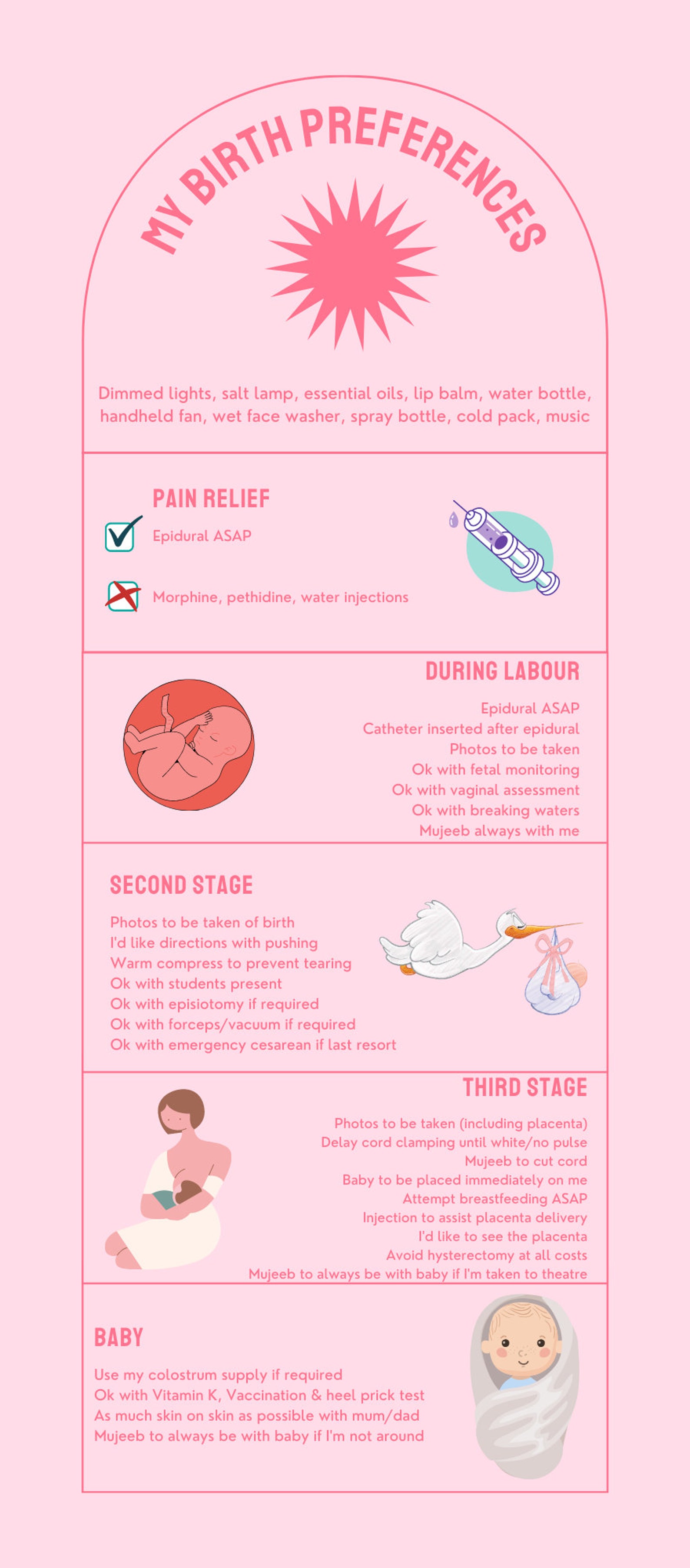 Editable birth plan template printable birthing plan etsy australia