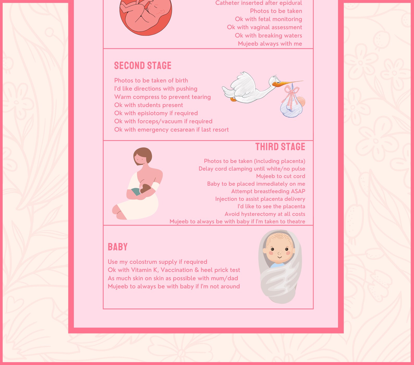 Editable Birth Plan Template Printable Birthing Plan Etsy Australia