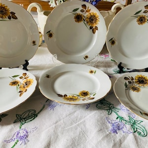 Vintage MZ Altrohlau Czechoslovakia Porcelain Salad Plates x 6
