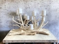 Driftwood 10 cdls candelabra,Coastal candleholder,Fireplace insert,Organic beach decoration