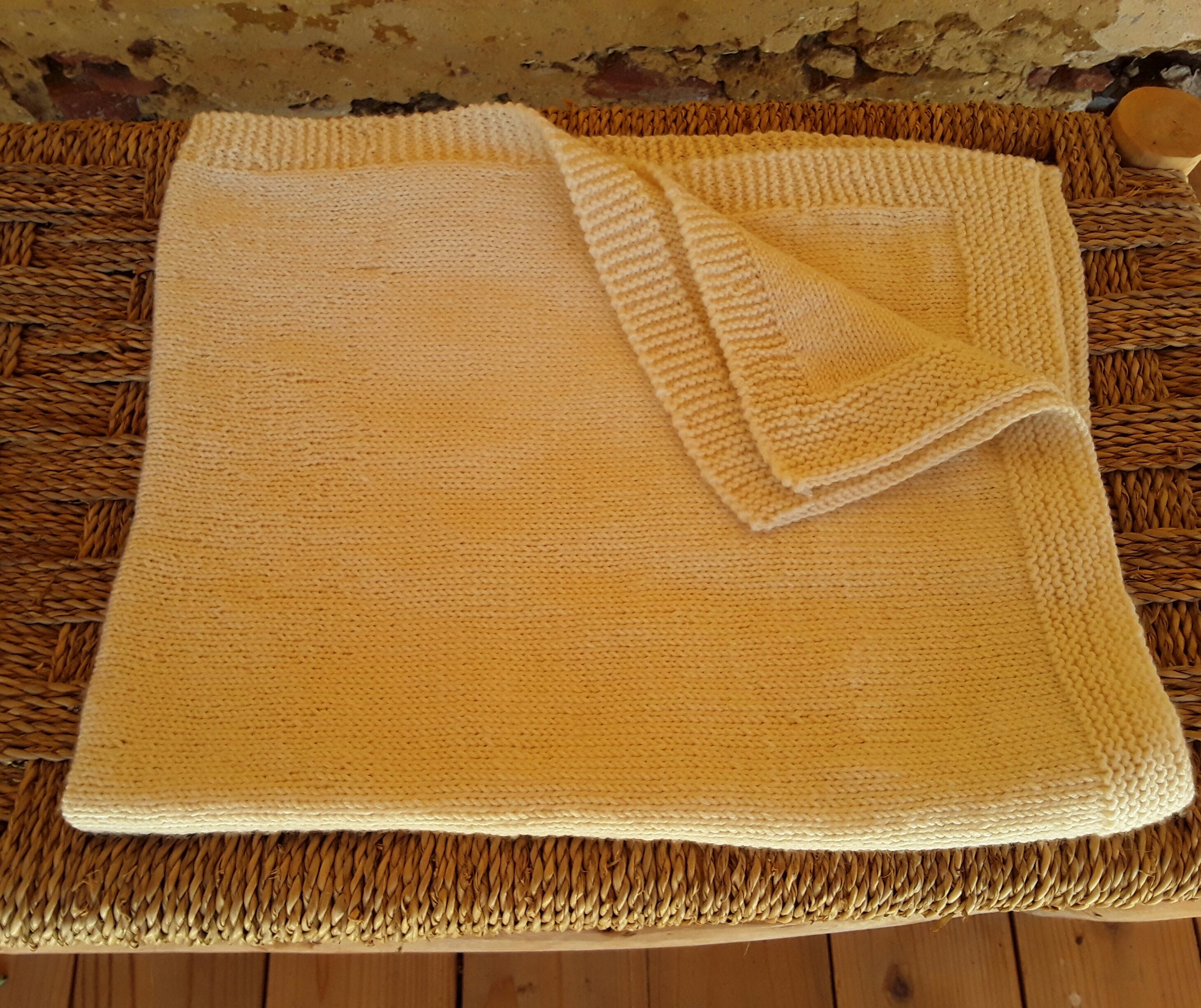 Couverture Chat Lune