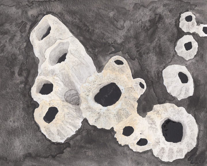 Barnacles watercolor painting nautical art print Etsy