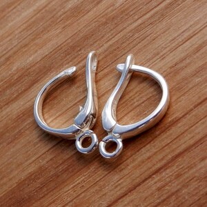 May include: Two silver earring hooks with a loop at the end. The hooks are designed to be used with a variety of earring styles.