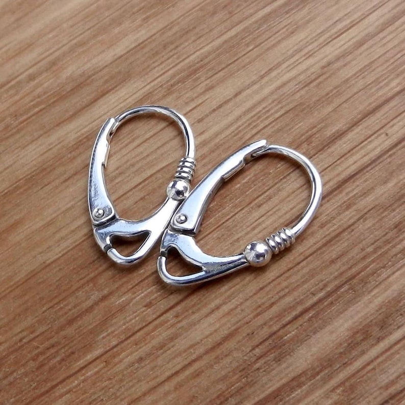 Lever aback Earrings.
