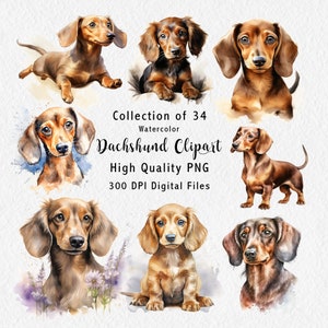 Dachshund Clipart - 34 Digital Graphics for instant download  - Doxie Dog artwork - sausage dog puppies - Commercial Use - PNG files - File2
