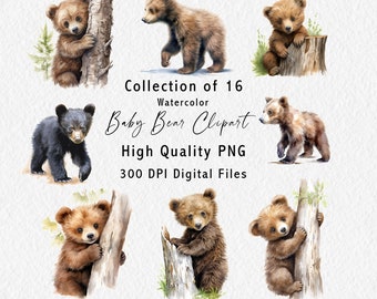 Baby Bear Clipart - 16 Digital Graphics for instant download  - Bear Art - Wildlife Download - Commercial Use - PNG files - File2