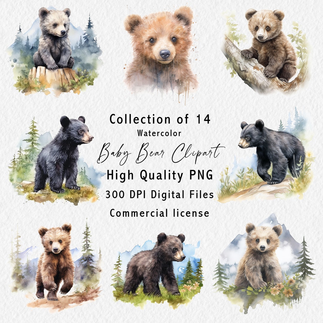 Baby Bear Clipart - 14 Digital Graphics for Instant Download - Bear Art ...