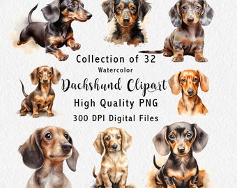 Dachshund Clipart - 32 Digital Graphics for instant download  - Doxie Dog artwork - sausage dog puppies - Commercial Use - PNG files - File1