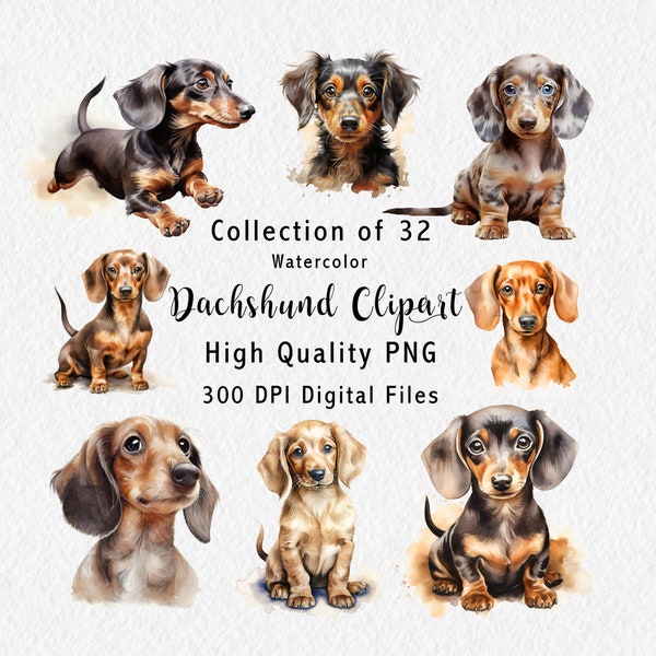 Dachshund Clipart - 32 Digital Graphics for instant download  - Doxie Dog artwork - sausage dog puppies - Commercial Use - PNG files - File1