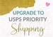 ONLY for orders already placed - Priority Shipping Upgrade 