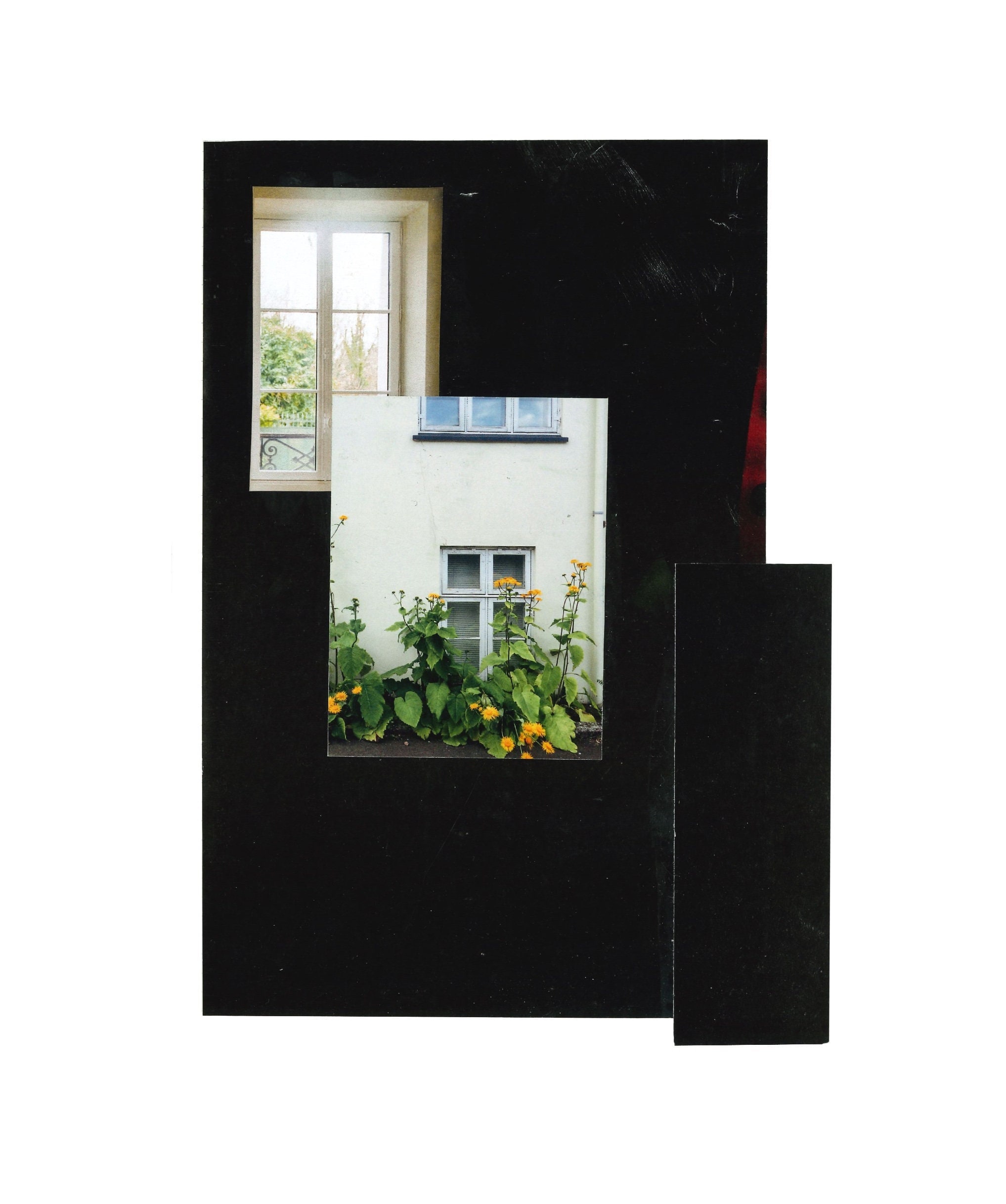 Abstract Collage Window Handmade Home Decor Collage | Window | Floral Digital Collage | Gift ...