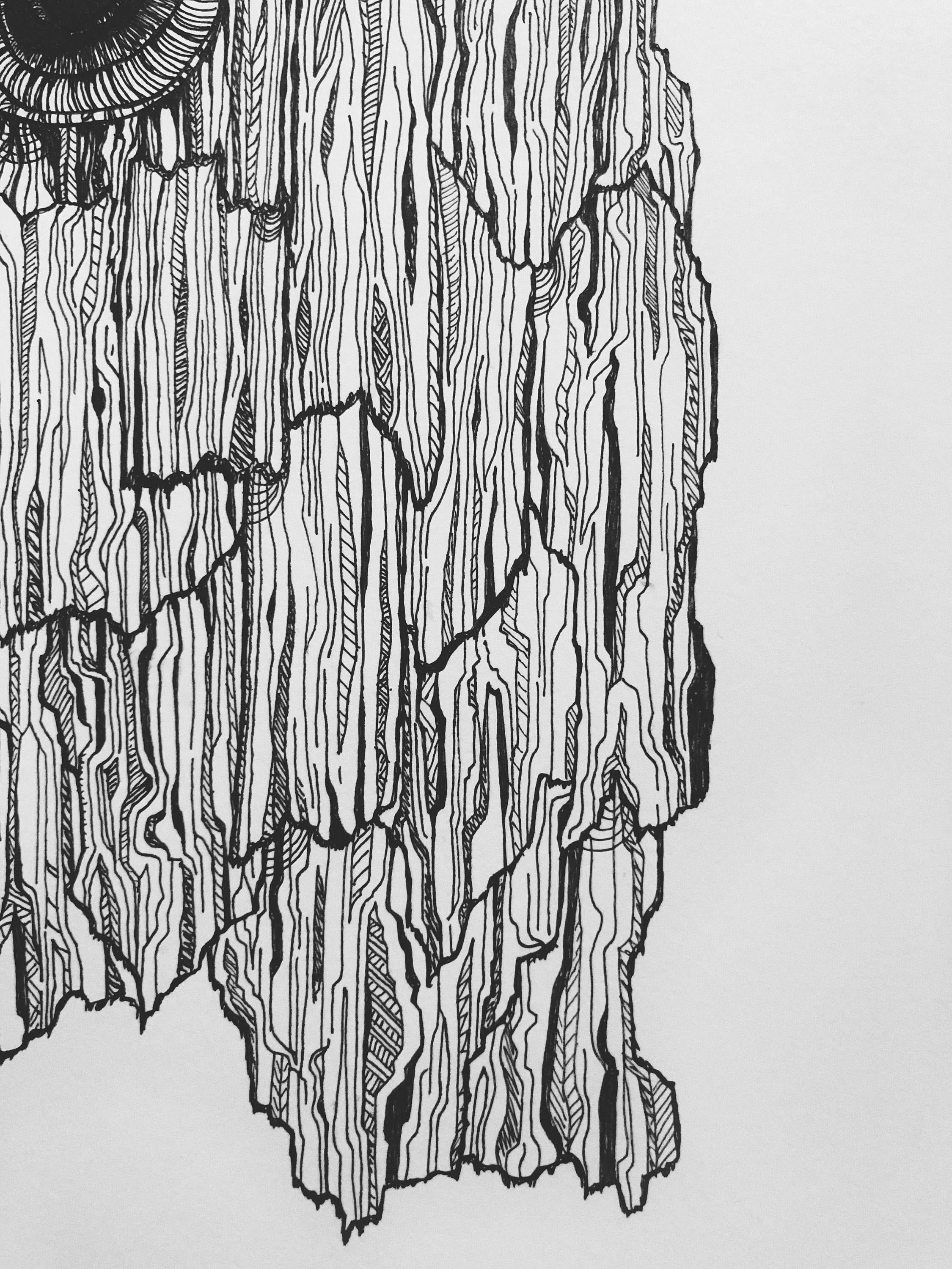 Intricate handmade tree bark ink drawing Etsy