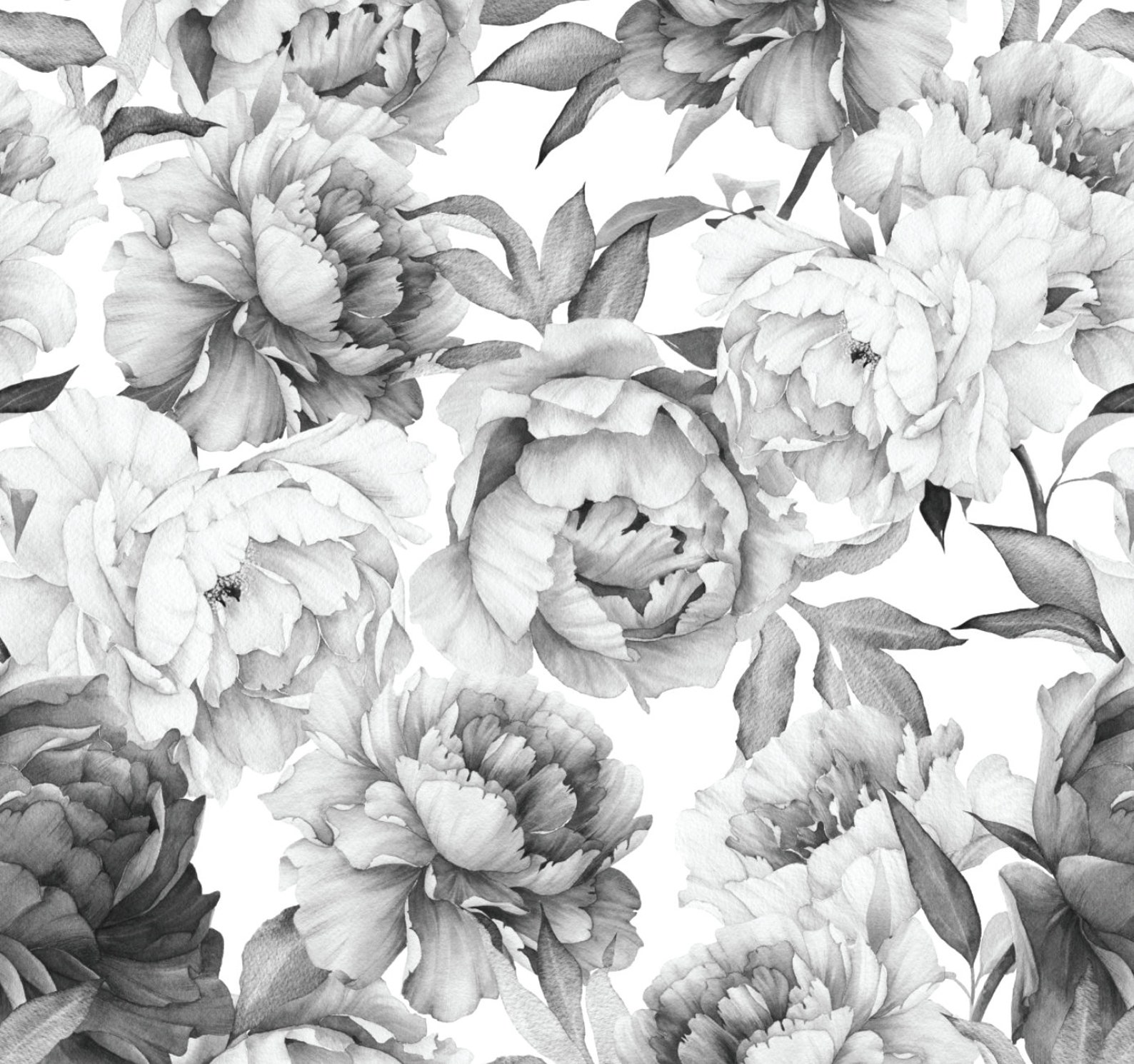 Black and White Peony Wallpaper // Removable Wallpaper // Peel | Etsy