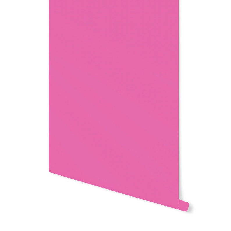 May include: A roll of solid pink wallpaper against a white background. The wallpaper is a vibrant shade of pink, with a slight sheen. The roll is partially unrolled, revealing the edge and the back of the paper.