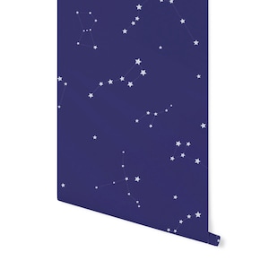 blue and white peel and stick wallpaper nursery kids room sky stars space/ Constellation Wallpaper/ Removable WW2071