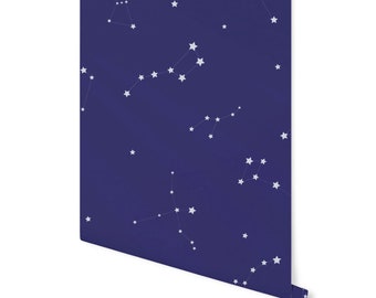 blue and white peel and stick wallpaper nursery kids room sky stars space/ Constellation Wallpaper/ Removable WW2071