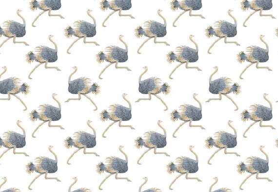 Ostrich Wallpaper // Removable Wallpaper // Peel and Stick - Etsy Australia