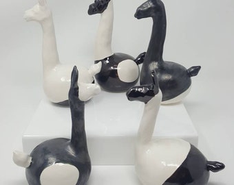 Sonajeros de llama