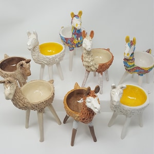 Standing Llama Dishes
