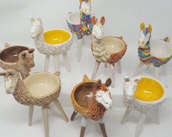 Standing Llama Dishes