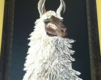 Llama Family Portrait
