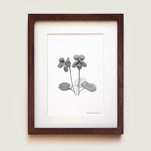 Purple Violet Art Print | Framed Art Print