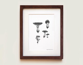 Woodland Mushrooms Art Print: Signed Graphite Illustration, Solid Oak Frame