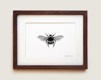Bumblebee Art Print