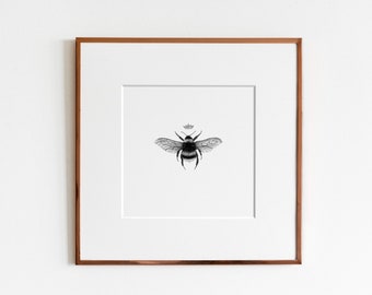 Queen Bee Graphite Drawing Print