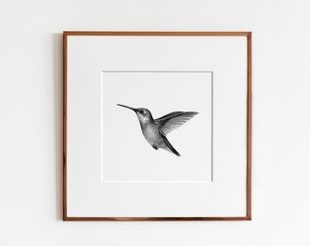 Ruby Throated Hummingbird Art Print | Bird Print | Ornithology art | Scientific Illustration