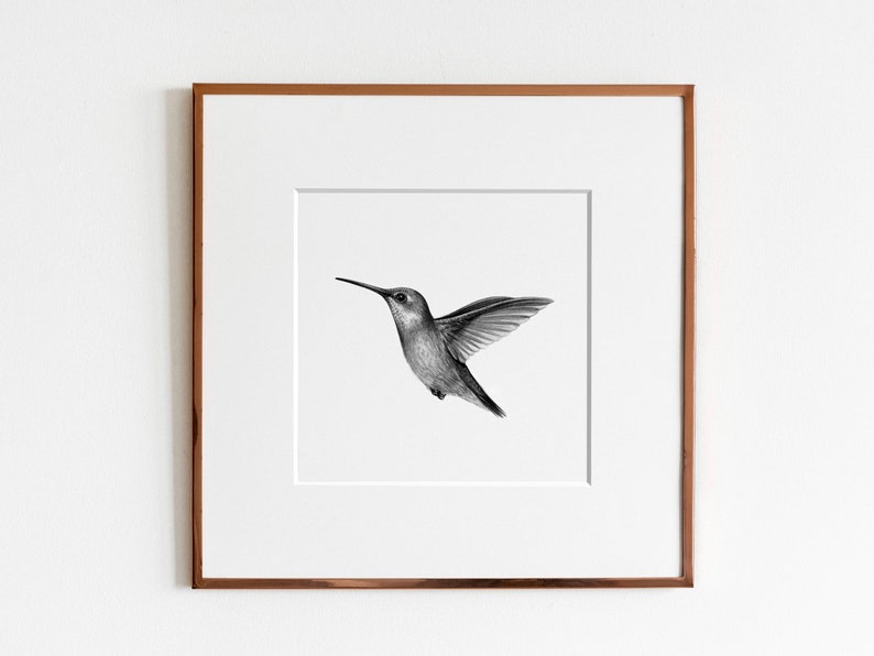 Ruby Throated Hummingbird Art Print Bird Print Ornithology art Scientific Illustration image 1