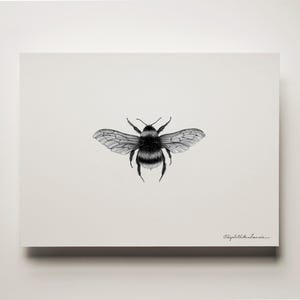 Bumblebee Art Print image 2