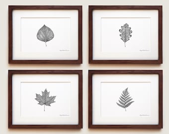 Juego de láminas artísticas con motivos botánicos: láminas enmarcadas de calidad de archivo.