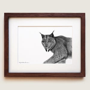 Canada Lynx Art Print | Framed Art Print