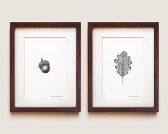 Oak Botanical Art Print Set: Acorn & Leaf Diptych, Framed