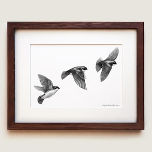 Tree Swallows (Tachycineta bicolor) Art Print | Framed Art Print