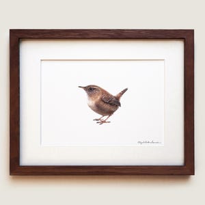 House Wren Art Print | Framed Art Print