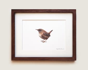 House Wren Art Print: Hand-Illustrated Bird, Solid Oak Frame