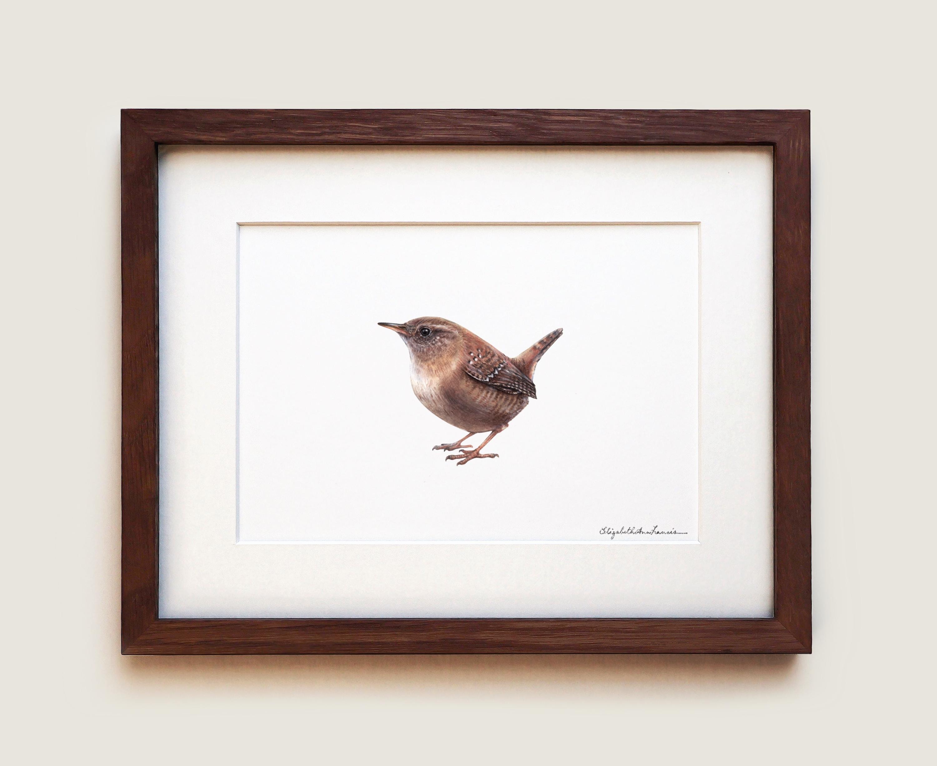 Wren Art - Etsy