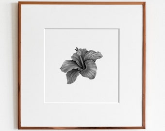 Hibiscus Art Print