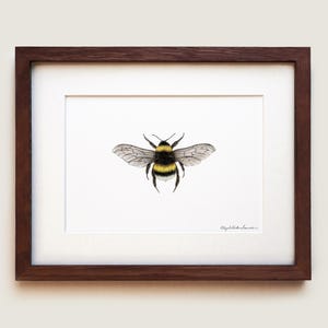 Bumblebee Art Print: Signed Archival Paper, Solid Oak Frame image 1