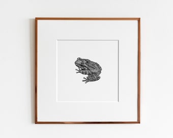 Gray treefrog (Hyla versicolor) Art Print